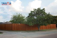 Privacy Fence in Plano, TX