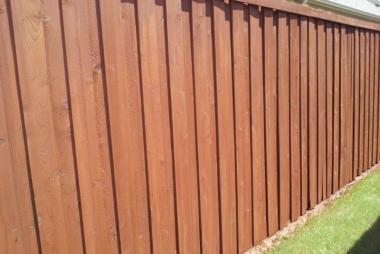 Sierra on Old Fence in Allen, TX