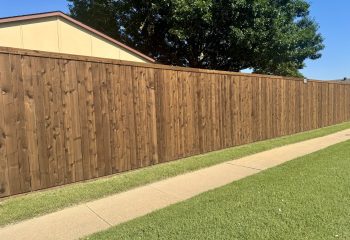 Side by Side Cedar fence