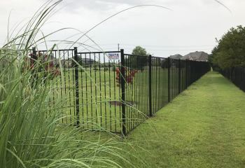 Powder Coated Galvanized 2 Rail Steel Fence