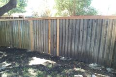 Russet Solid Before