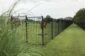 Iron Fences